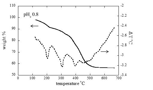 TGA and DTA curves