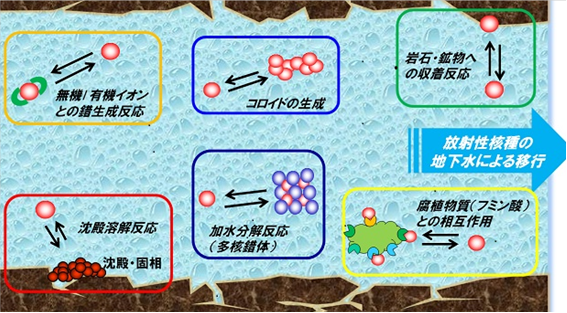 地下水中の放射性核種の化学状態