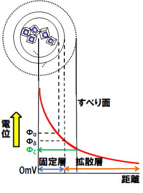 電気二重層の構造と対応する電位の分布