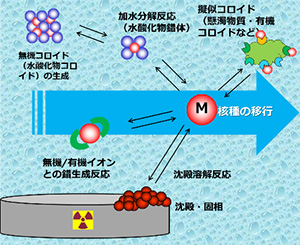 高レベル放射性廃棄物の処分