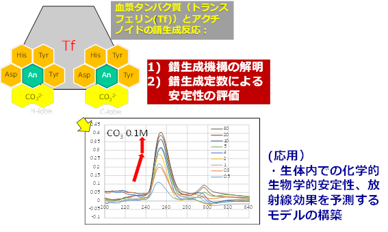 医療分野への挑戦