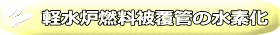 軽水炉燃料被覆管の水素化