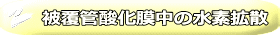 被覆管酸化膜中の水素拡散