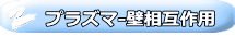 プラズマ-壁相互作用